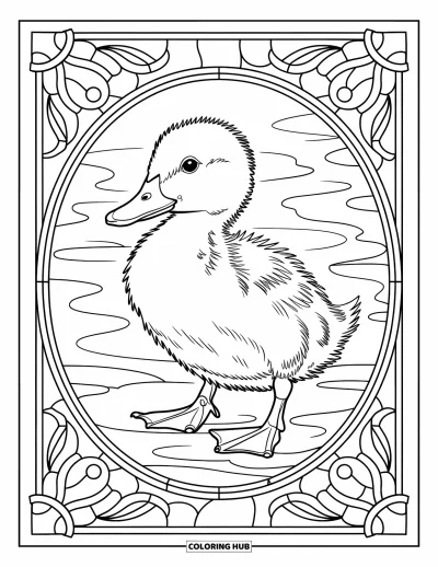 Desenho de patinhos para colorir para adultos: Patinho com padrões de ondulações de água em moldura de vitral