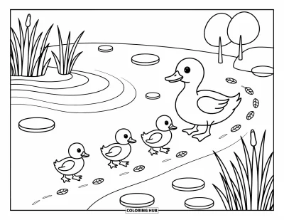 Desenho de patinhos para colorir para adultos: Mãe pata guiando três patinhos ao longo da beira curva de uma lagoa com juncos e taboás