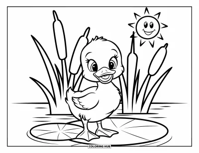 Desenho de patinhos para colorir para crianças: Patinho sobre uma vitória-régia com um sol sorridente acima