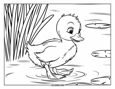 Desenho de patinhos para colorir para crianças: Patinho caminhando na água perto de juncos e vitórias-régias