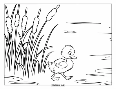 Desenho de patinhos para colorir para crianças: Patinho com bico laranja brilhante caminhando perto de taboás à beira de um lago