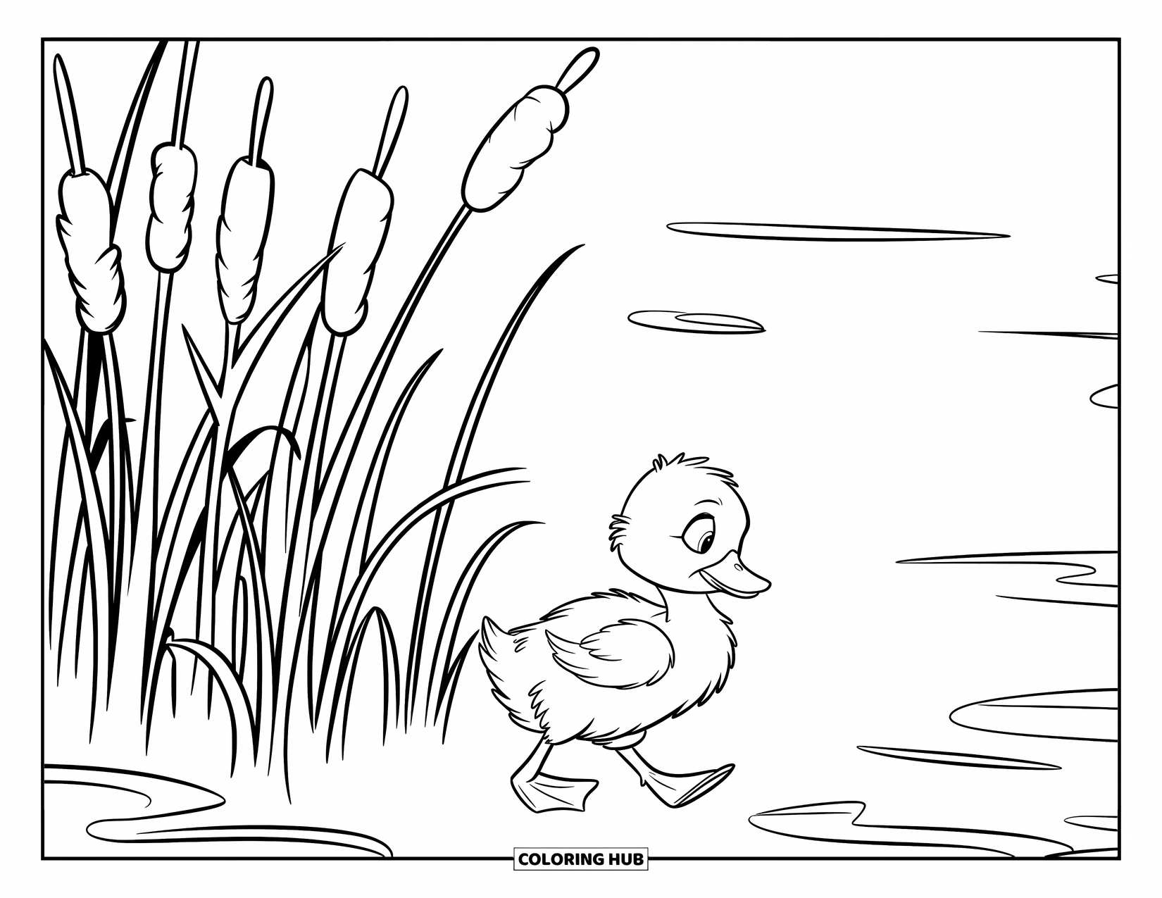 Duckling Coloring Page for Kids: Duckling with bright orange beak walking by cattails near a lake