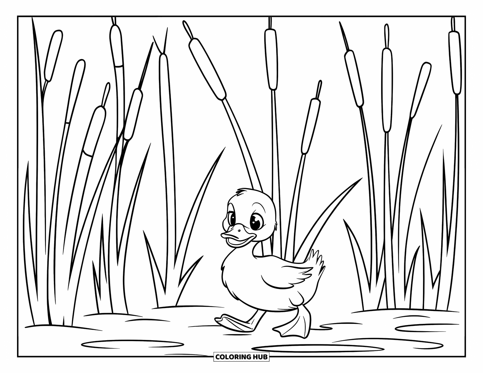 Duckling Coloring Page for Kids: Small duckling walking near tall cattails on muddy ground