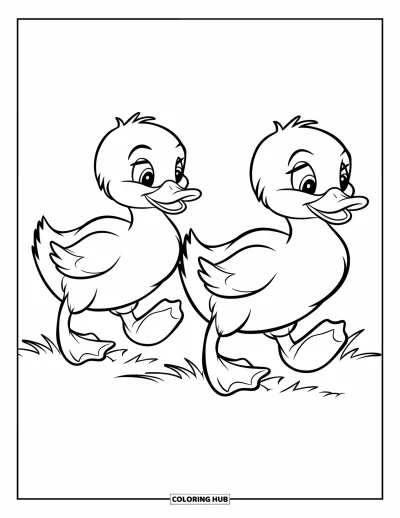 Desenho de patinhos para colorir para crianças: Dois patinhos caminhando lado a lado na grama