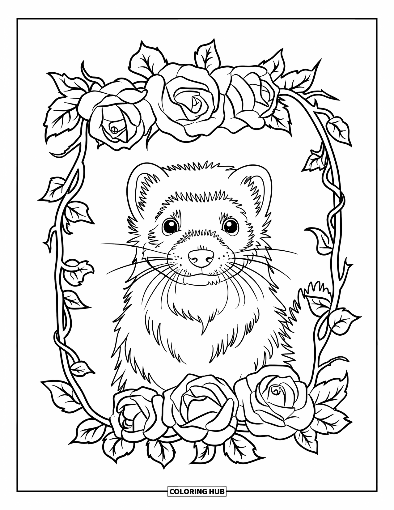 Ferret Coloring Page for Adults: Ferret face with blooming roses and vine details wrapped around a decorative frame