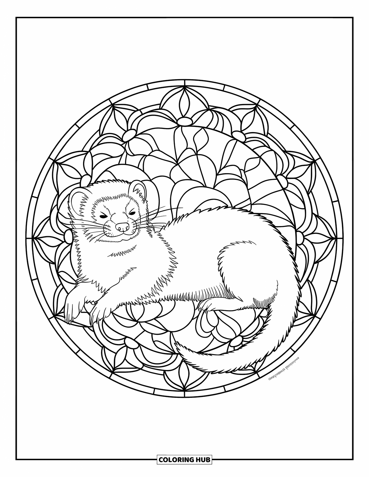 Ferret Coloring Page for Adults: Ferret lounges in a floral stained glass circle with swirls and bold patterns