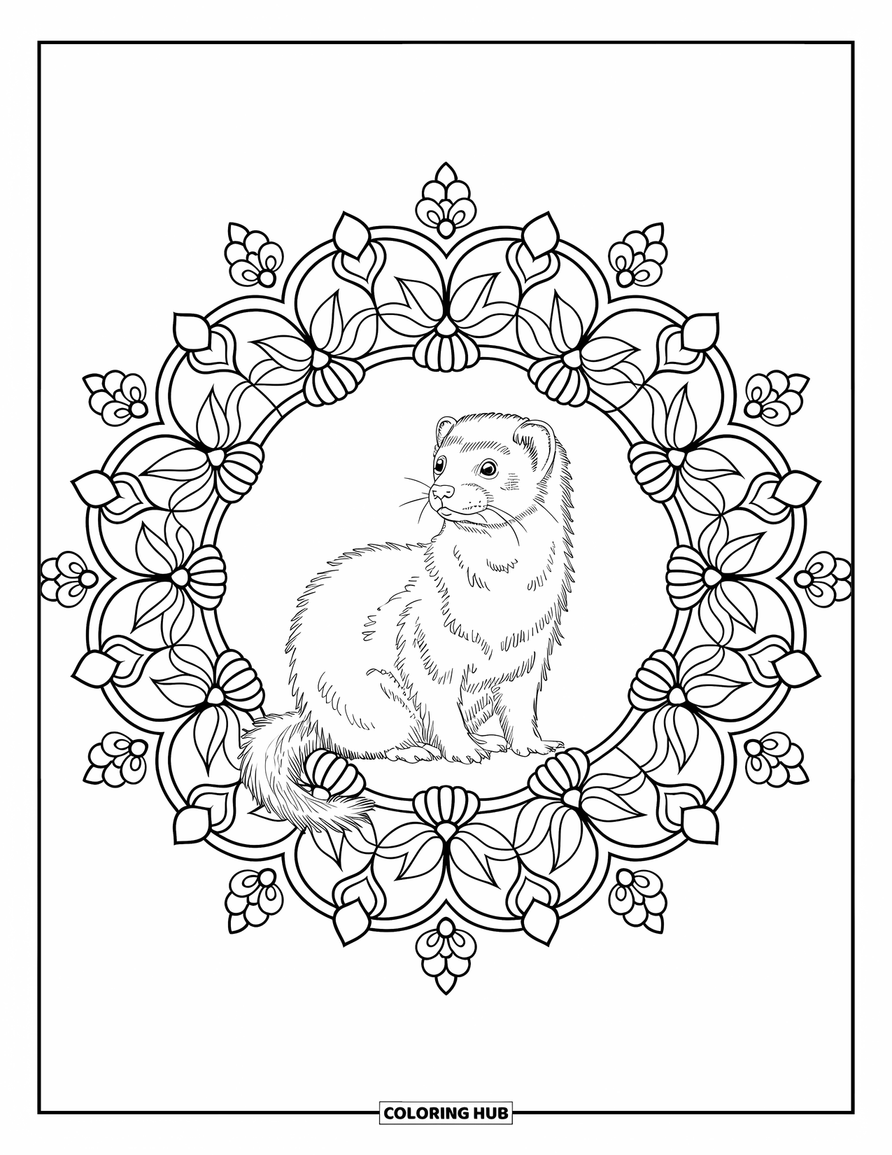 Ferret Coloring Page for Adults: Ferret sitting calmly at the center of a floral mandala with decorative borders