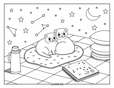 Desenho de furão para colorir para adultos: Dois furões fofos observando as estrelas num ninho de cobertores no terraço com lua, estrelas e pequenos esboços