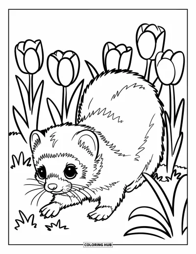 Desenho de furão para colorir para crianças: Um furão curioso explorando um jardim de tulipas com fundo branco