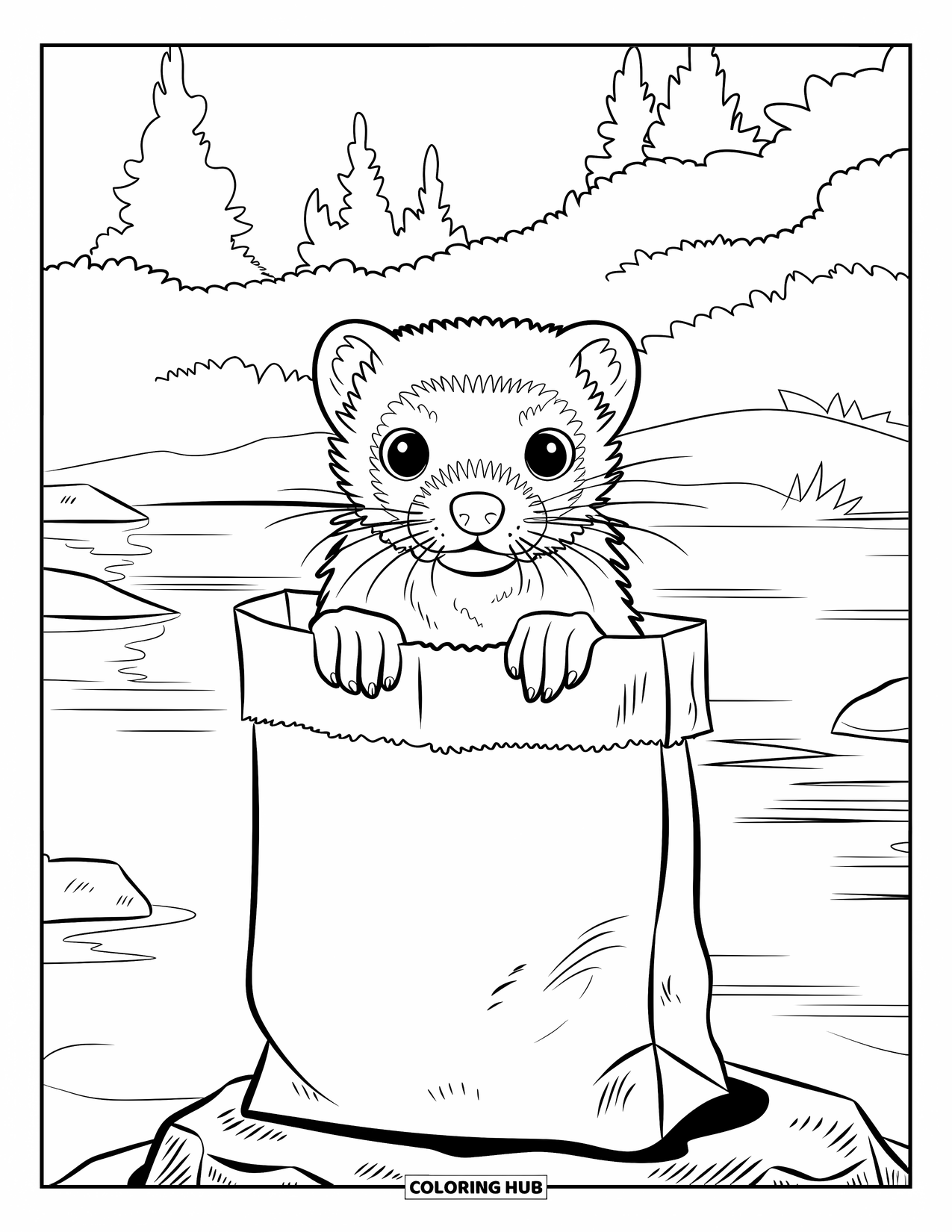 Ferret Coloring Page for Kids: A curious ferret peeks from a paper bag resting on a rock by the water