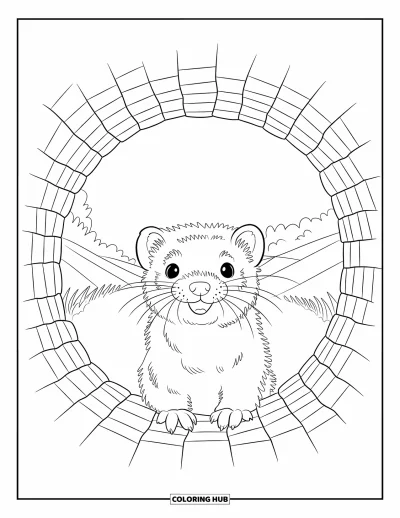 Desenho de furão para colorir para crianças: Um furão fofo espiando de um túnel de tijolos num campo com céu azul