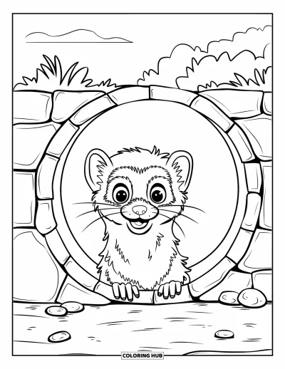 Desenho de furão para colorir para crianças: Um furão feliz espiando de um túnel de pedra perto de plantas e nuvens