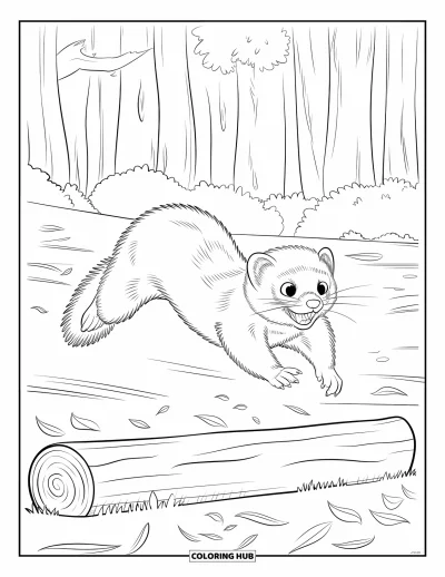 Desenho de furão para colorir para crianças: Um furão animado pulando sobre um tronco na floresta com folhas e árvores altas ao redor