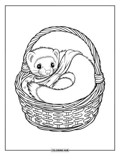 Desenho de furão para colorir para crianças: Um furão com cachecol enrolado numa cesta com alça sobre uma base de madeira