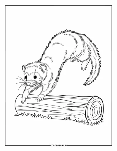 Desenho de furão para colorir para crianças: Um furão elegante pulando sobre um tronco numa cena de floresta moderna e expressiva