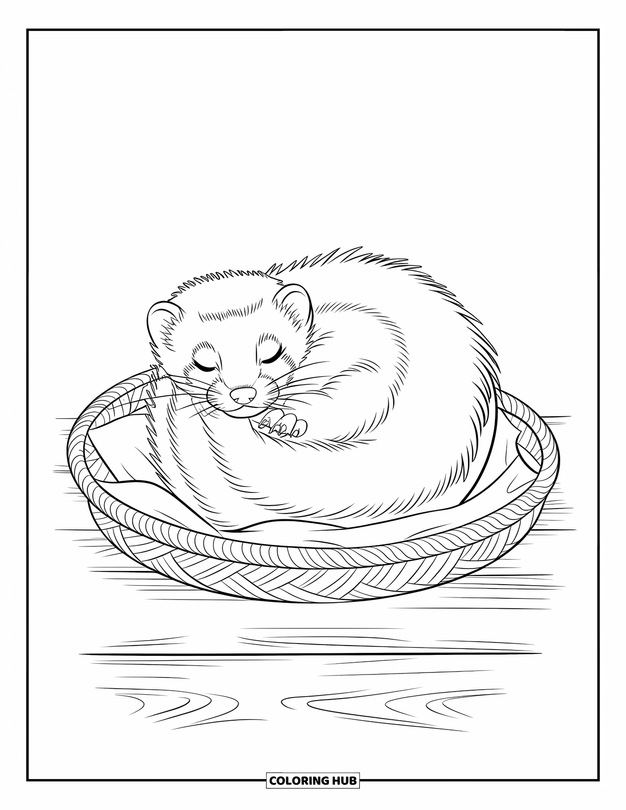 Ferret Coloring Page for Kids: A sleeping ferret curls into a donut shape in a basket on a wood floor