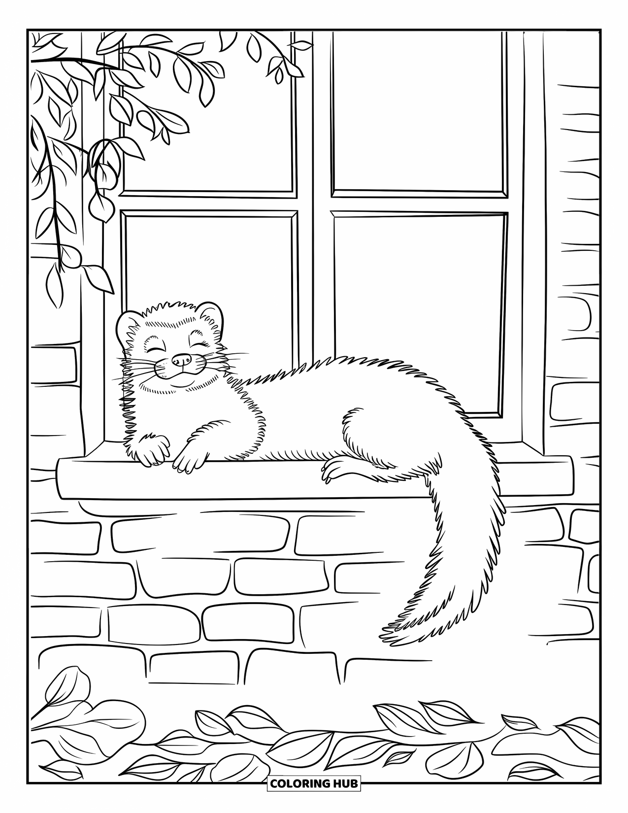 Ferret Coloring Page for Kids: A sleepy ferret rests in a sunny window with a brick wall and leaves below