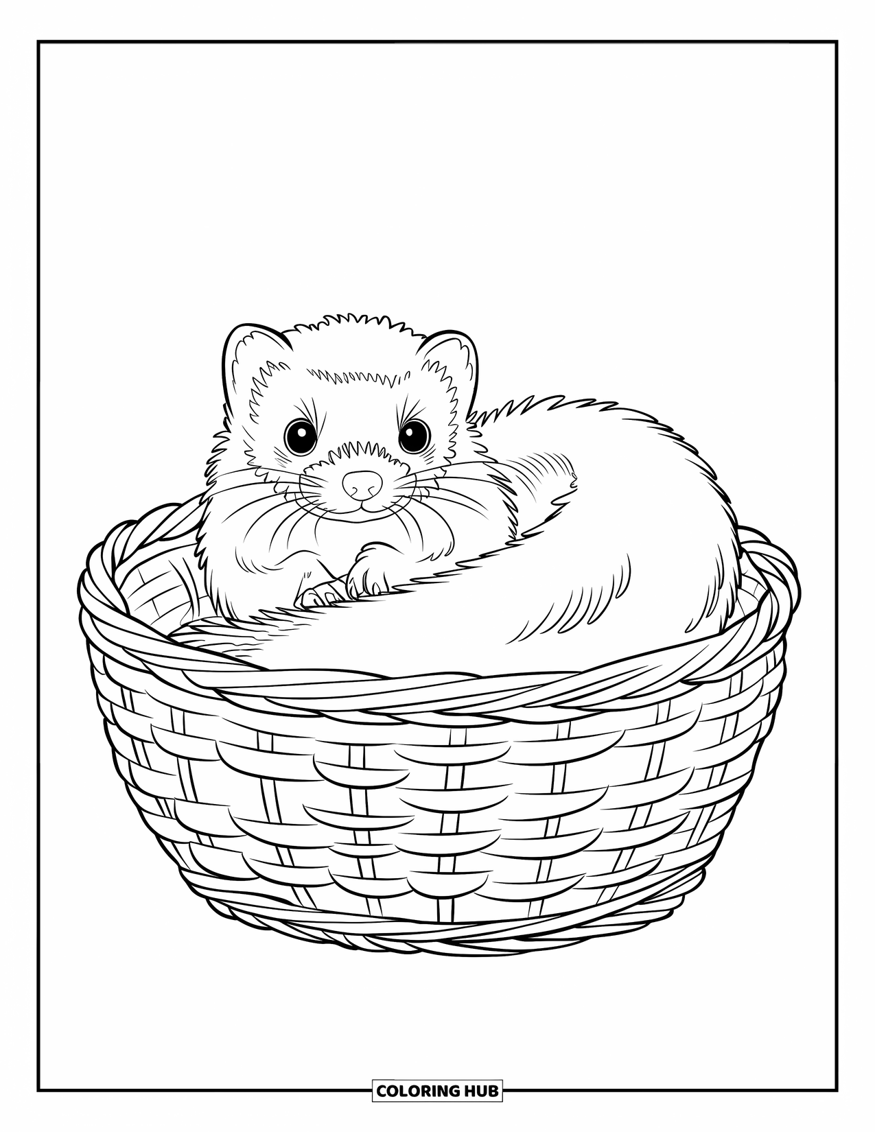 Ferret Coloring Page for Kids: A smiling ferret curls in a basket with a rustic texture and clean background