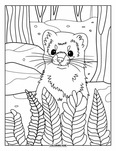 Desenho de furão para colorir para crianças: Um furão simpático espiando entre samambaias da floresta com árvores e pedras ao redor
