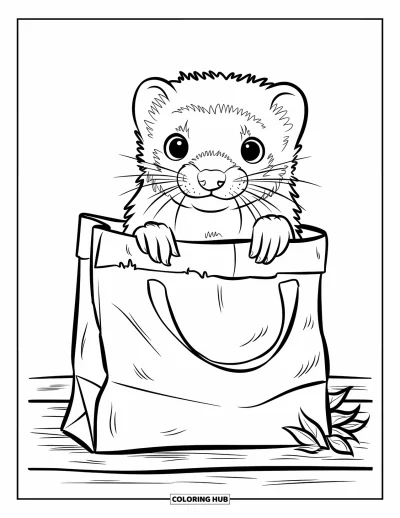 Desenho de furão para colorir para crianças: Um furão de olhos arregalados espiando de uma sacola de papel sobre uma superfície de madeira