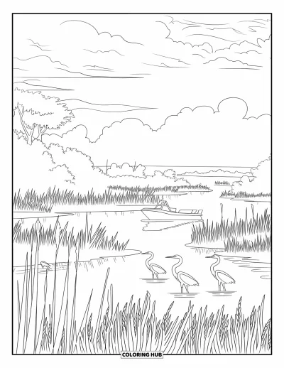 Coloriage de Floride pour adultes : Un petit aéroglisseur traverse les Everglades avec des mangroves et des oiseaux échassiers