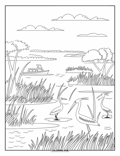 Coloriage de Floride pour adultes : Un aéroglisseur glisse dans les zones humides des Everglades avec de hautes herbes et des oiseaux échassiers