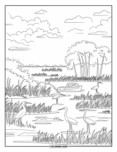 Coloriage de Floride pour adultes : Les zones humides des Everglades montrent de hautes herbes, des mangroves, un aéroglisseur et des hérons