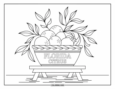 Coloriage de Floride pour enfants : Un panier étiqueté "Florida Citrus" rempli de fruits frais