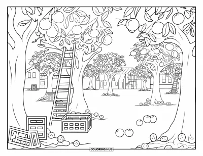 Coloriage de Floride pour enfants : Une orangeraie avec des oranges mûres, des échelles et des caisses éparpillées