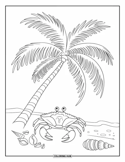 Coloriage de Floride pour enfants : Un palmier sur la plage avec des coquillages et un crabe