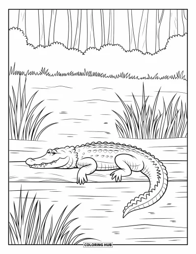 Coloriage de Floride pour enfants : Un alligator repose sur un tronc au bord de la rivière entouré d'arbres