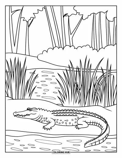 Coloriage de Floride pour enfants : Un alligator se repose près d'une rivière entourée de hautes herbes