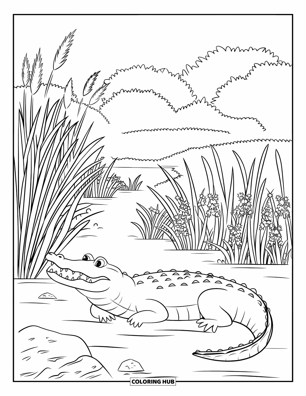 Florida Coloring Page for Kids: An alligator with sharp teeth rests near a grassy river