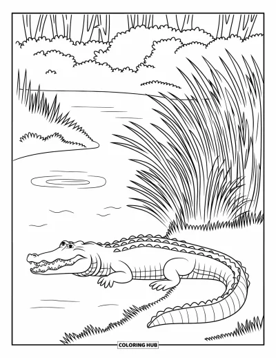 Coloriage de Floride pour enfants : Un alligator la gueule ouverte se repose près de hautes herbes au bord de la rivière