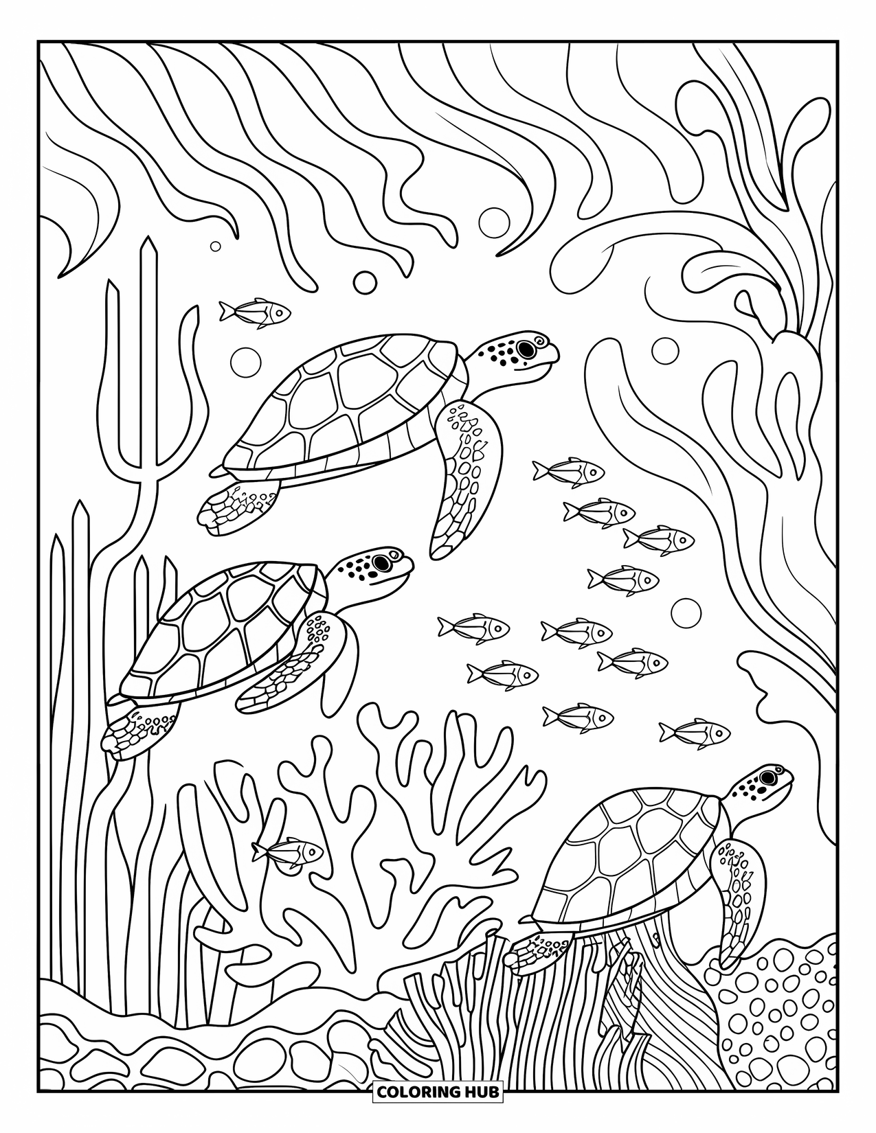 Florida Coloring Page for Kids: Sea turtles and fish swim through a coral reef with plants