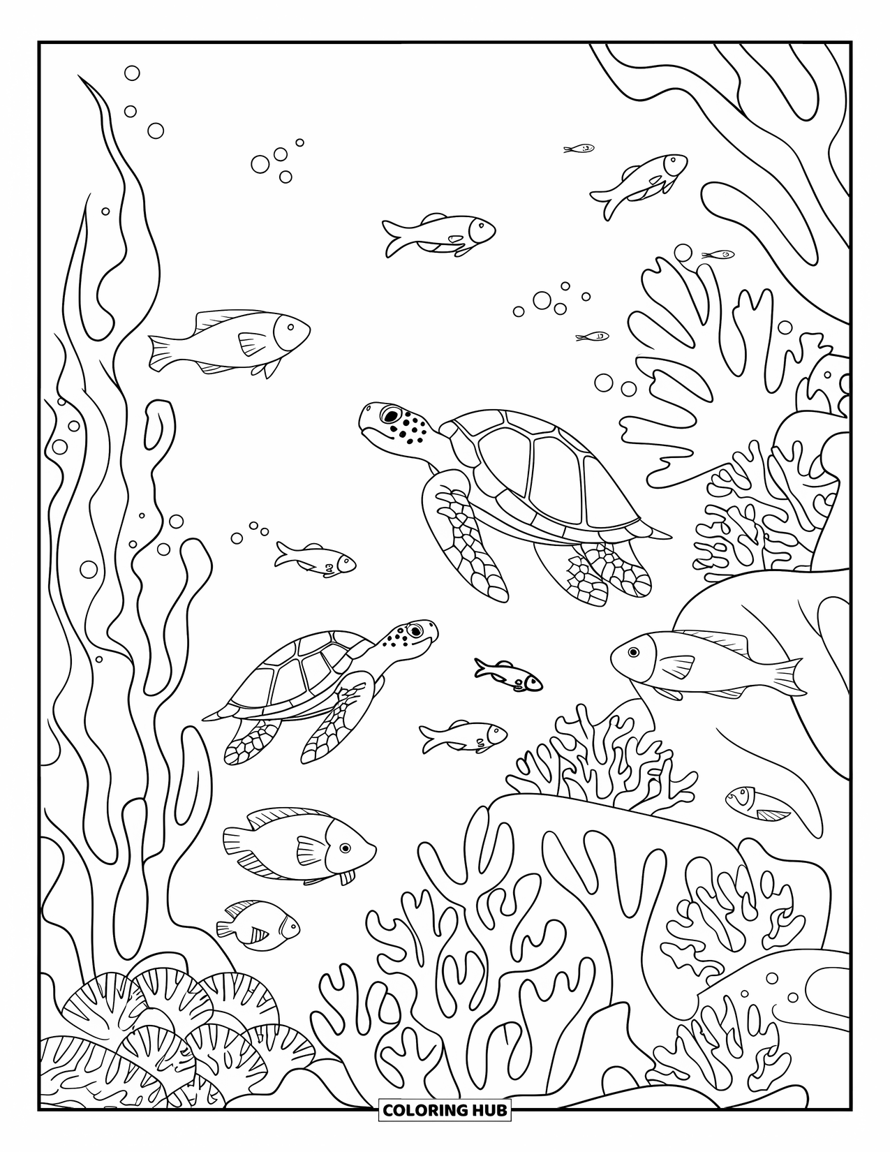 Florida Coloring Page for Kids: Sea turtles swim among fish and coral in a reef scene