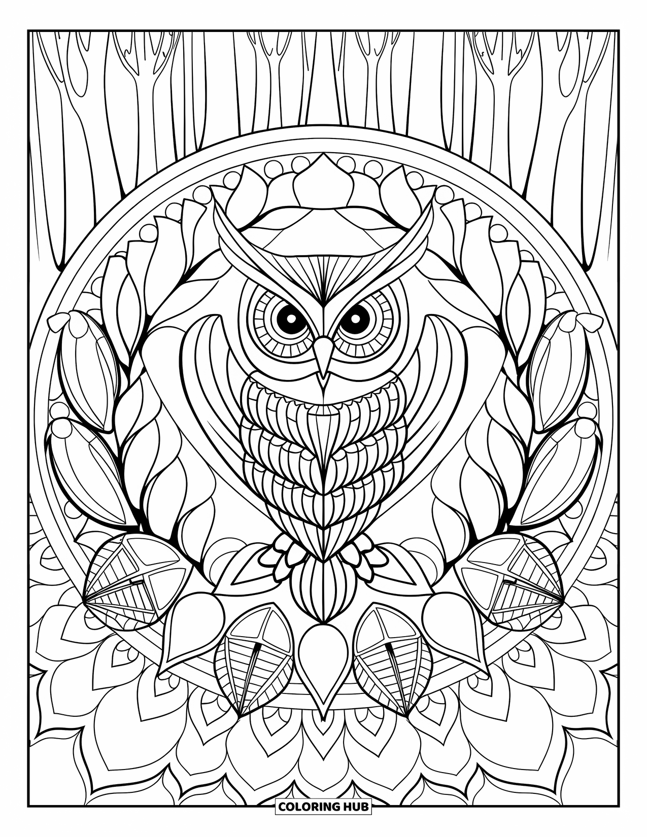 Forest Animals Coloring Page for Adults: Owl face framed by a mandala of branches, leaves, and seed pods