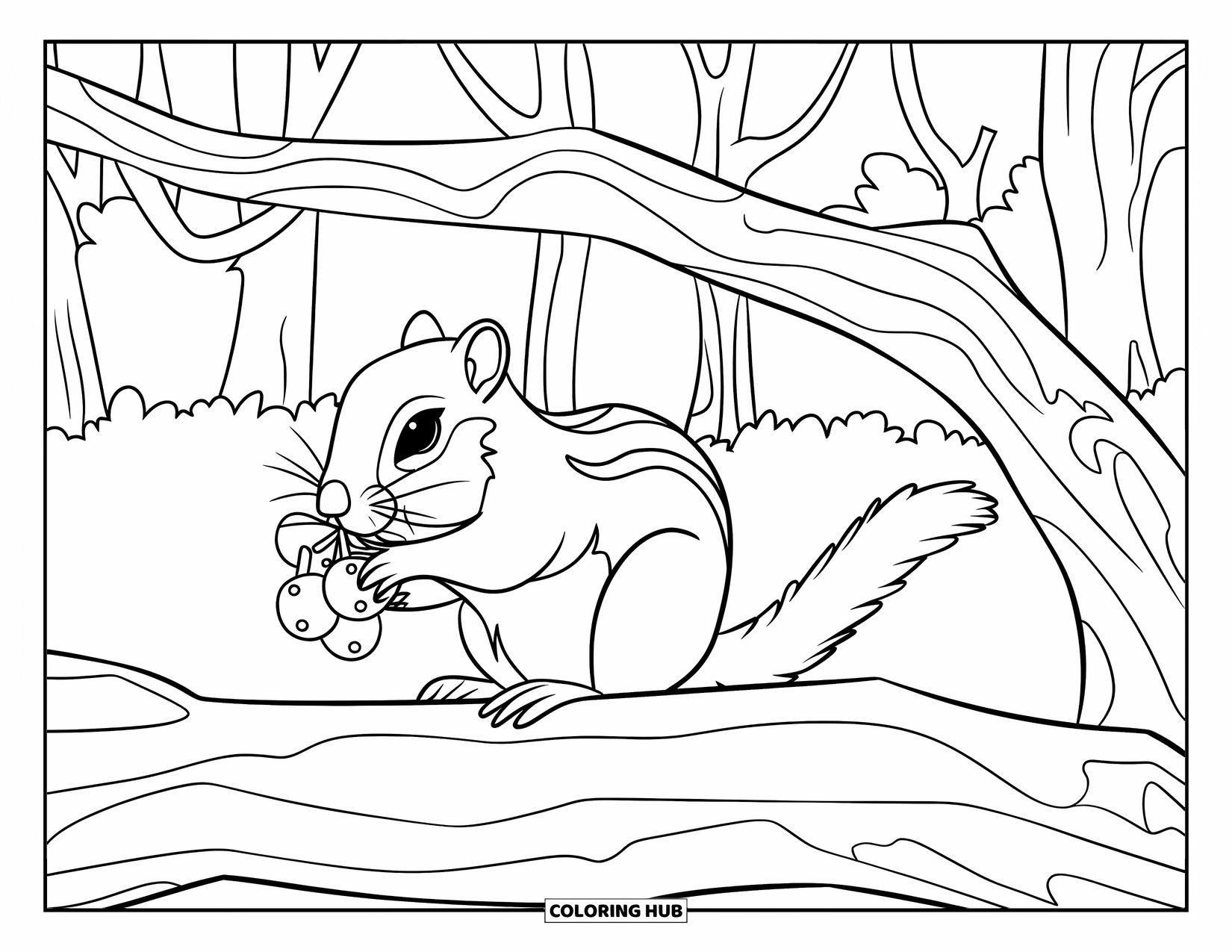 Forest Animals Coloring Page for Kids: Chipmunk eating berries while sitting beneath a forest branch