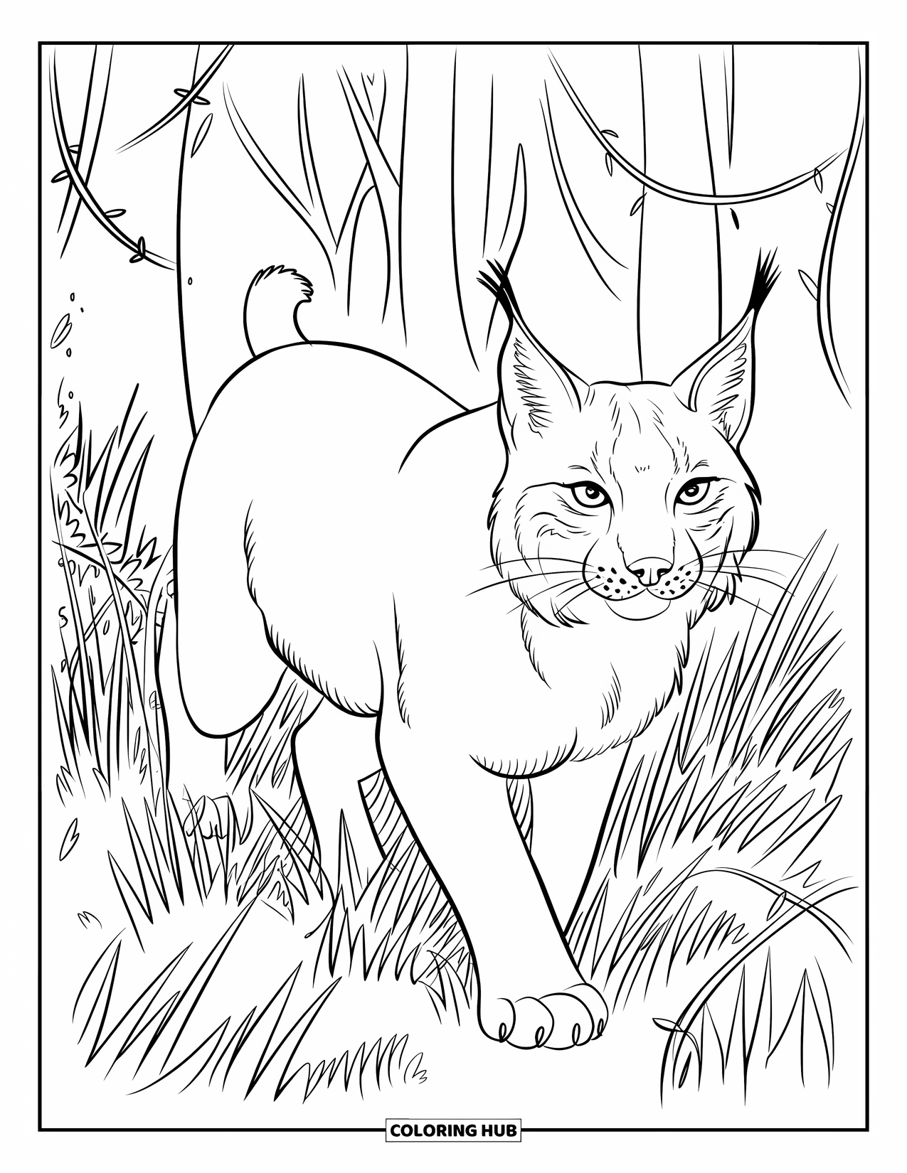 Forest Animals Coloring Page for Kids: Lynx wandering among tall grass, vines, and forest trees