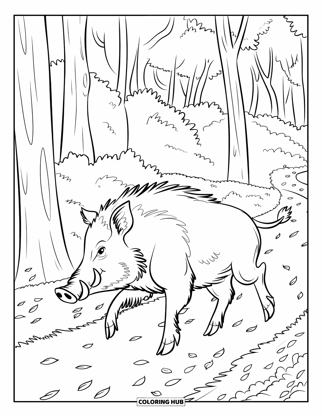 Forest Animals Coloring Page for Kids: Wild boar charging across a forest path covered with leaves
