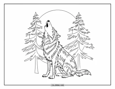 Desen de colorat cu animale din pădure pentru copii: Lup urlând la lună printre brazi înalți