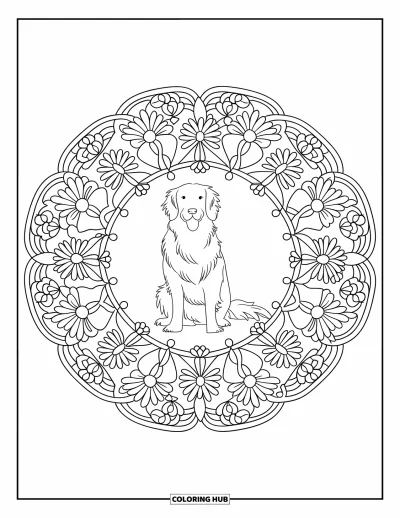 Desen de colorat cu Golden Retriever pentru adulți: Un Golden Retriever stă calm în mijlocul unui design de mandală florală