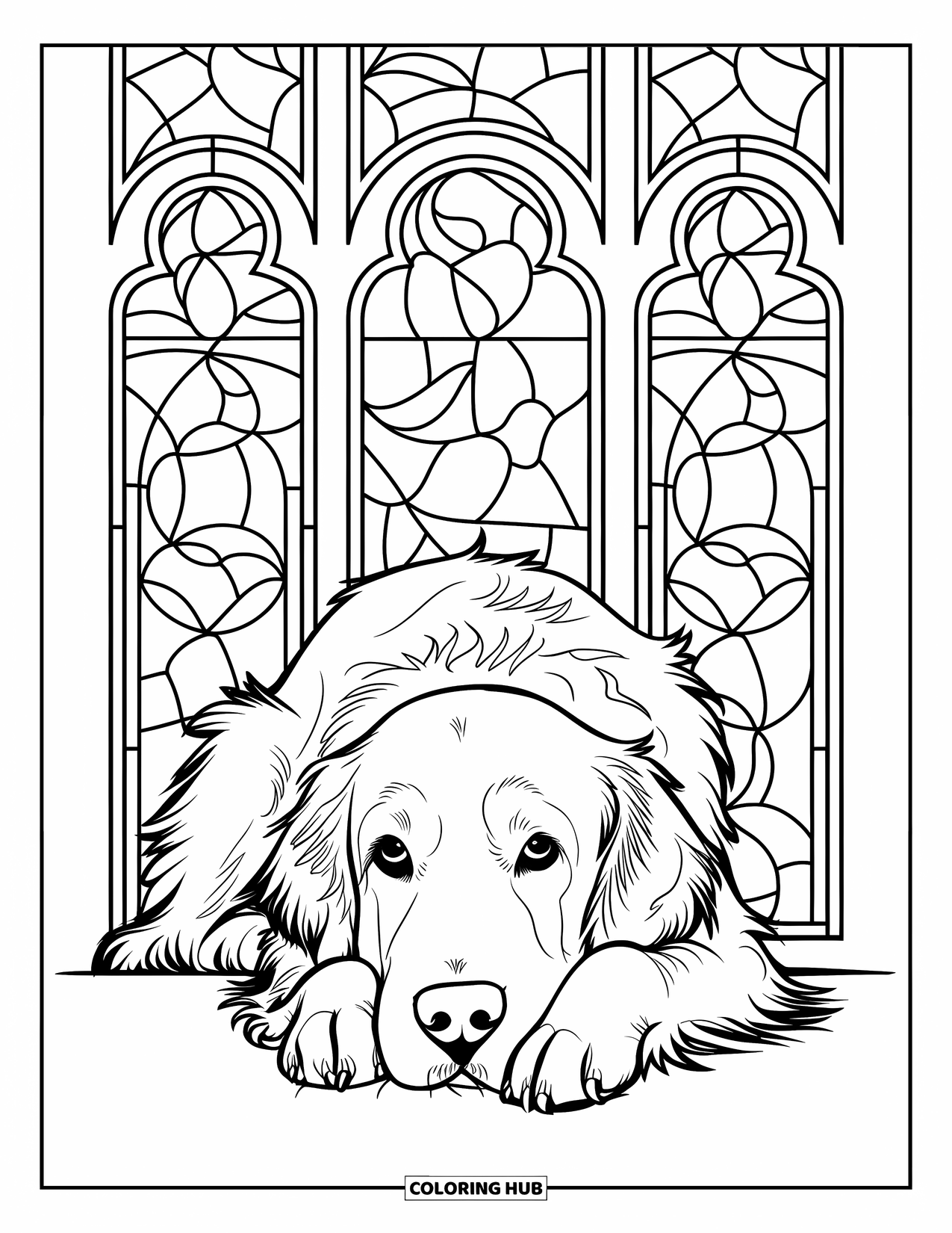 Golden Retriever Coloring Page for Adults: The retriever lies with its head on its paws under glowing stained glass patterns