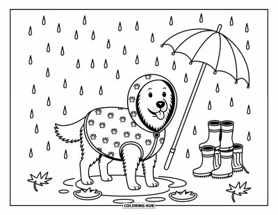 Desen de colorat cu Golden Retriever pentru adulți: Retrieverul stă într-o băltoacă cu frunze plutind, o haină de ploaie și cizme alături