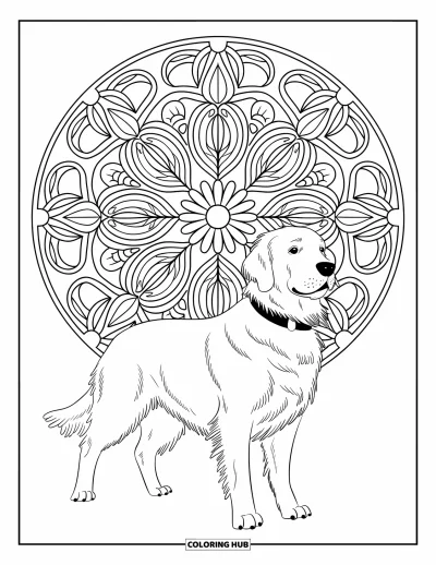 Desen de colorat cu Golden Retriever pentru adulți: Retrieverul stă mândru în fața unei mandale florale pline de viță și frunze