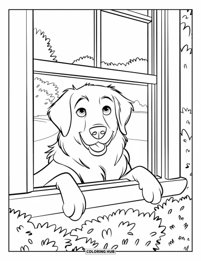 Desen de colorat cu Golden Retriever pentru copii: Un Golden Retriever zâmbește printr-o fereastră înconjurată de copaci din grădină