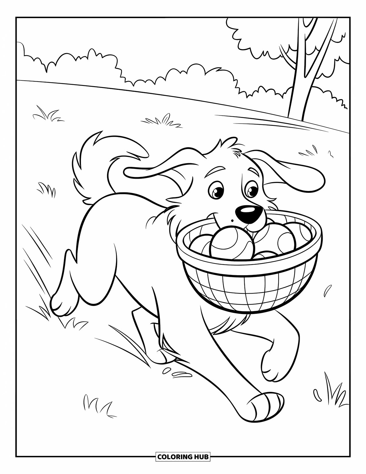 Golden Retriever Coloring Page for Kids: A playful retriever runs with a basket of balls across a grassy field