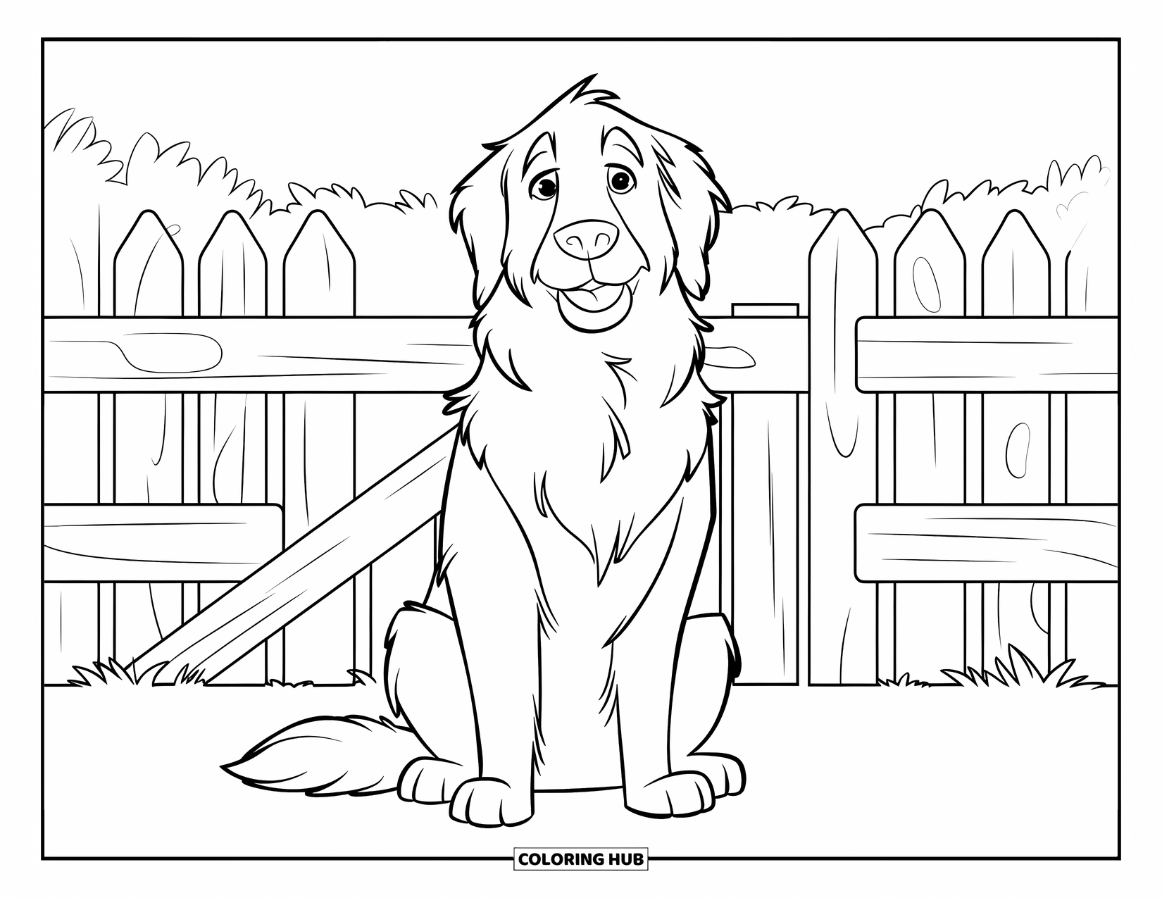 Golden Retriever Coloring Page for Kids: A proud golden retriever sits by a wooden fence in an open field