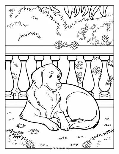 Desen de colorat cu Golden Retriever pentru copii: Câinele doarme liniștit lângă balustradă, înconjurat de flori de grădină