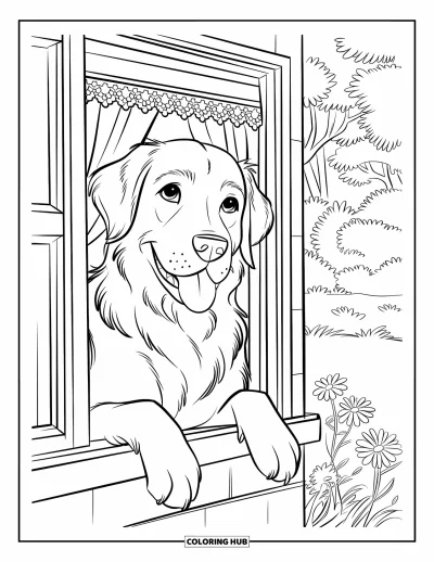 Desen de colorat cu Golden Retriever pentru copii: Câinele privește pe fereastră cu lăbuțele pe pervaz